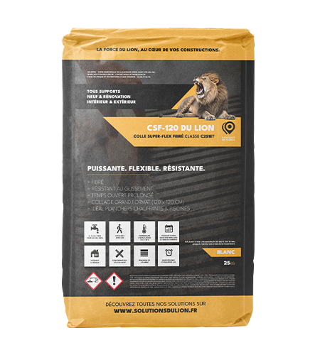 Image du produit : CSF-120 DU LION image